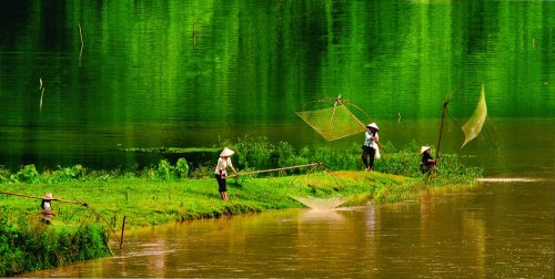 گالری تصاویر اختصاصی 5