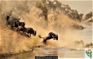 Massai-Marra-11-315×200 تور کنیا